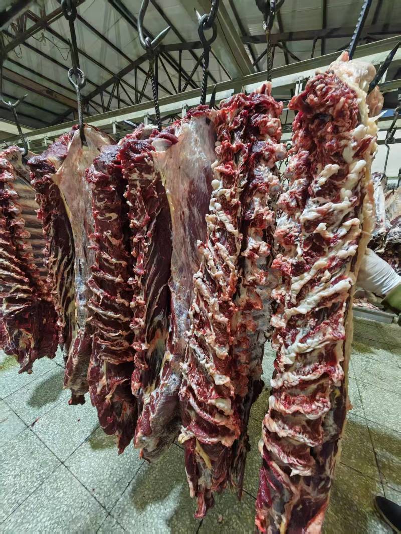 吊龙，牛腹肉，牛里脊，每天现宰，（鲜肉）空全国