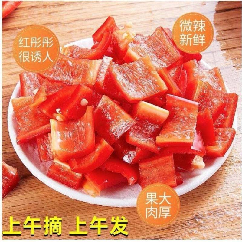 山东精品红椒源头产地全国可发价格透明对接各大市场商超电商
