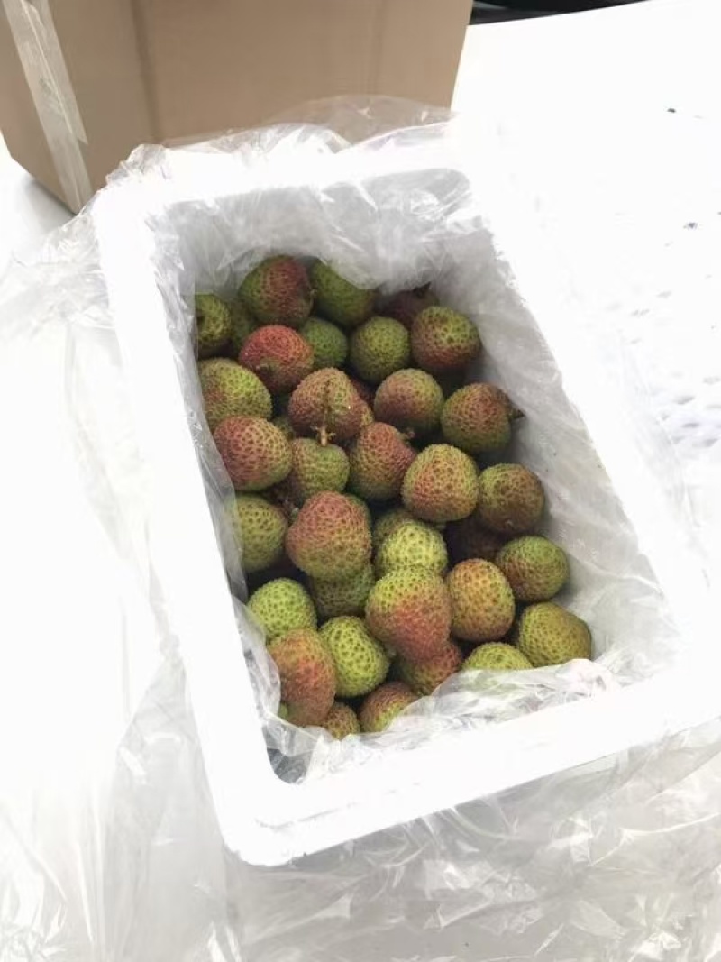 一件代发海南荔枝妃子笑～三月红各大电商合作顺丰冷链