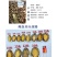鲍鱼肉200-300头新鲜小鲍鱼加工海鲜冻品厂家批发