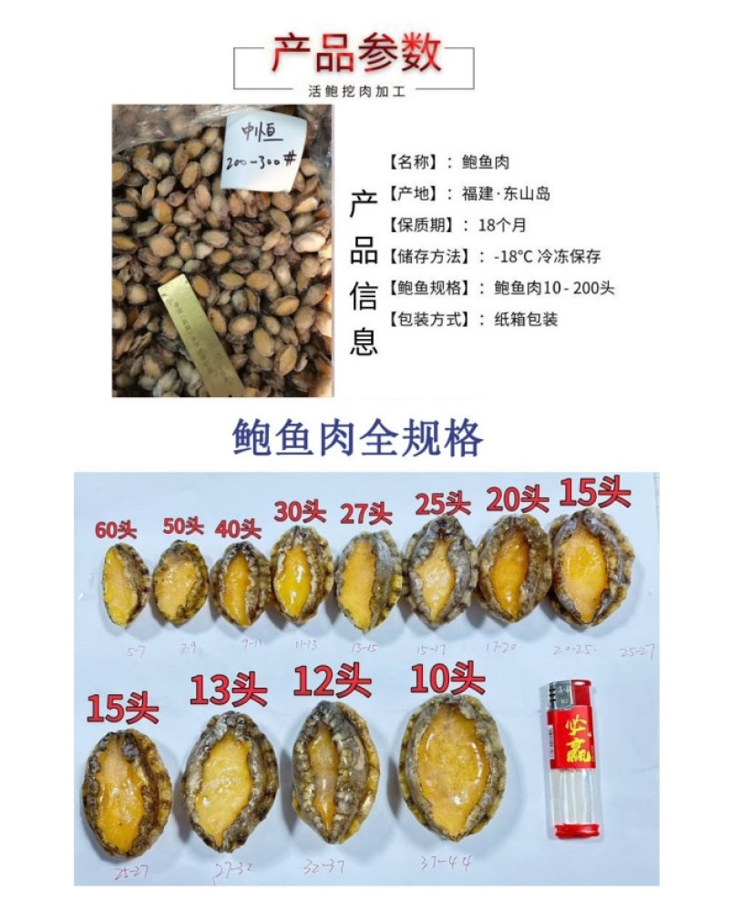 鲍鱼肉200-300头新鲜小鲍鱼加工海鲜冻品厂家批发