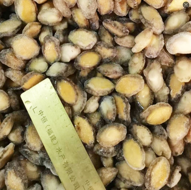 鲍鱼肉200-300头新鲜小鲍鱼加工海鲜冻品厂家批发