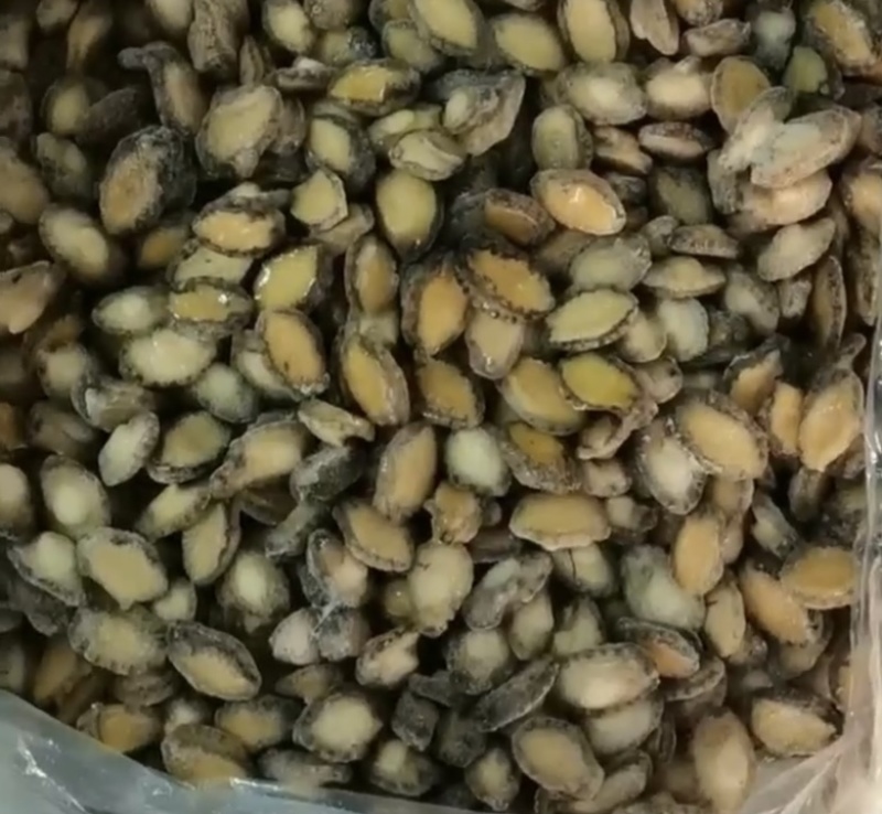 鲍鱼肉200-300头新鲜小鲍鱼加工海鲜冻品厂家批发