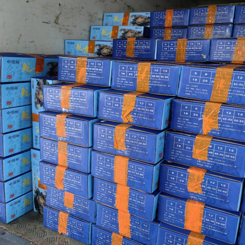 鲍鱼肉200-300头新鲜小鲍鱼加工海鲜冻品厂家批发