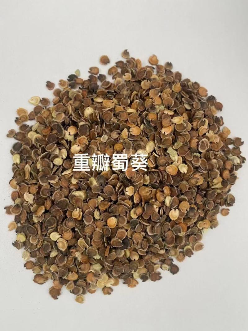 蜀葵种子厂家一手货源批发价格便宜欢迎全国各地老板前来咨询