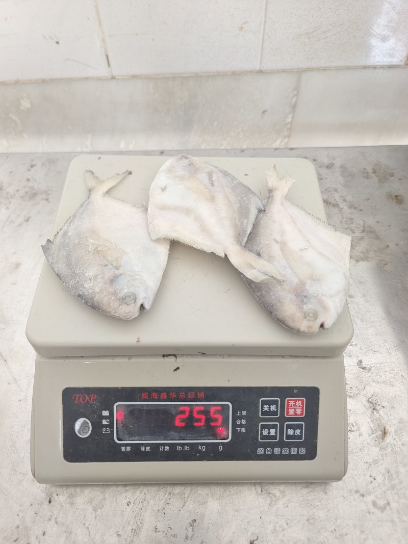 山东威海单冻银鲳鱼70-90g小鲳鱼库存1000件