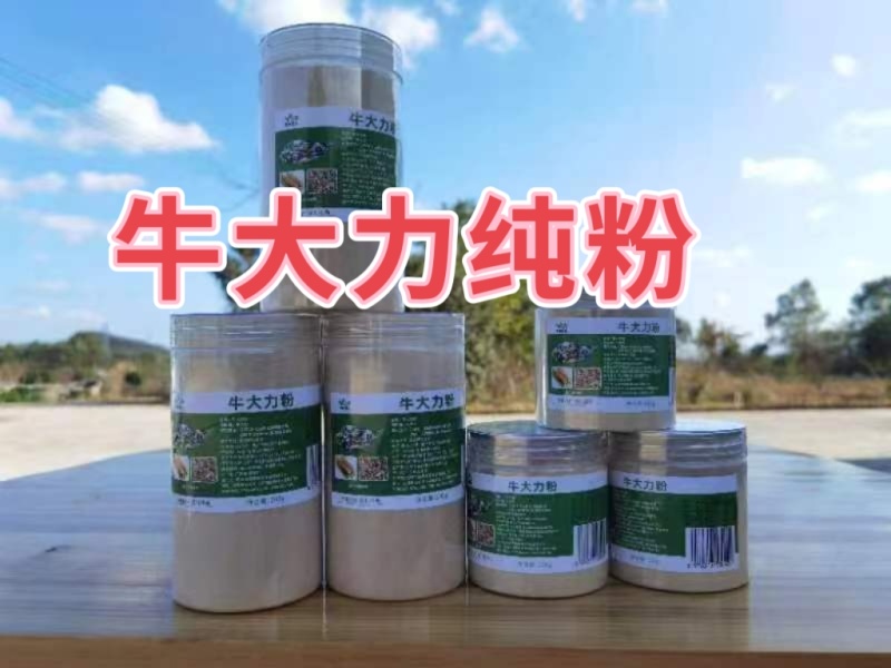 牛大力超高性价比长期供货***新鲜农产品尽在此