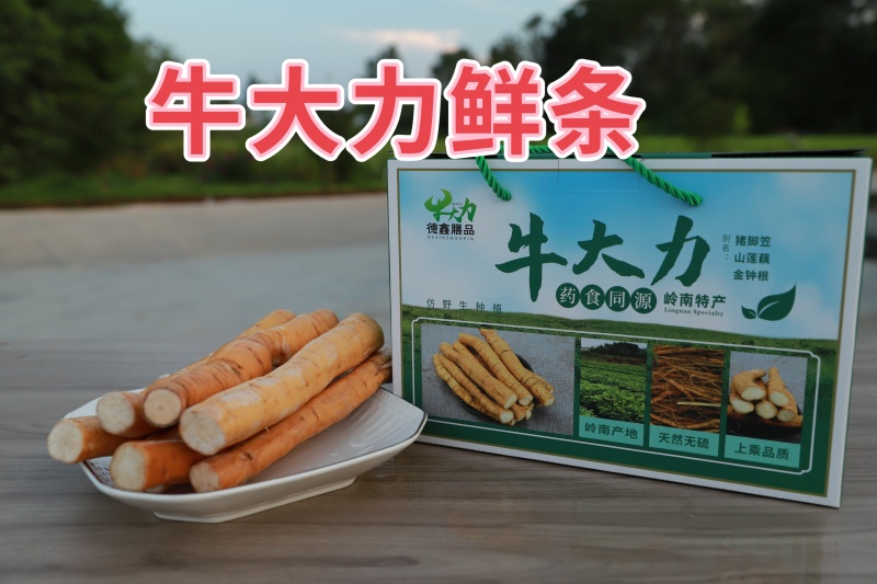 牛大力超高性价比长期供货***新鲜农产品尽在此
