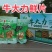 牛大力超高性价比长期供货***新鲜农产品尽在此