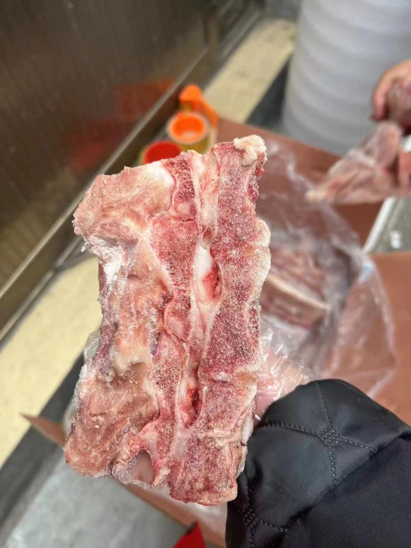 龙骨段