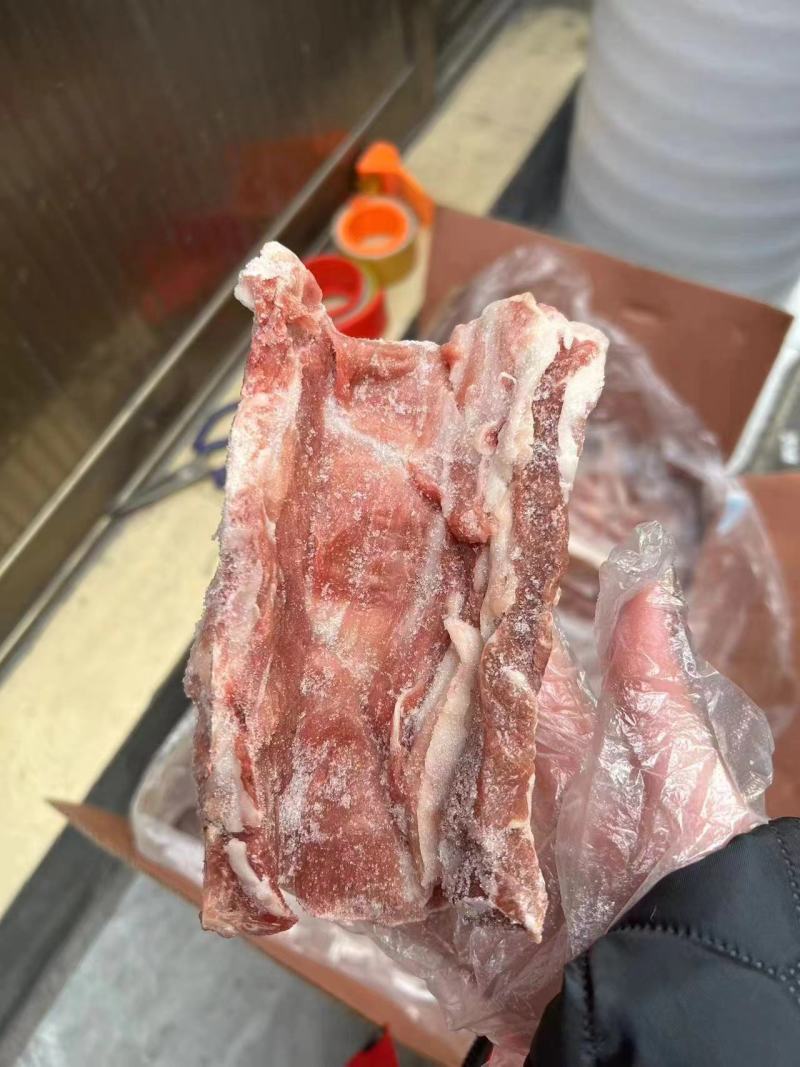 龙骨段