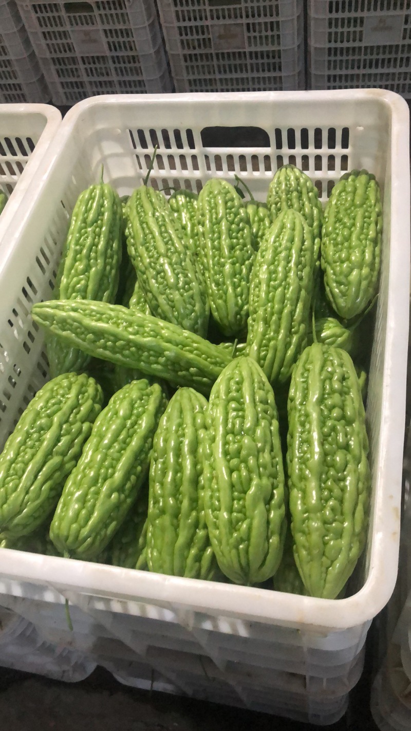 玉米