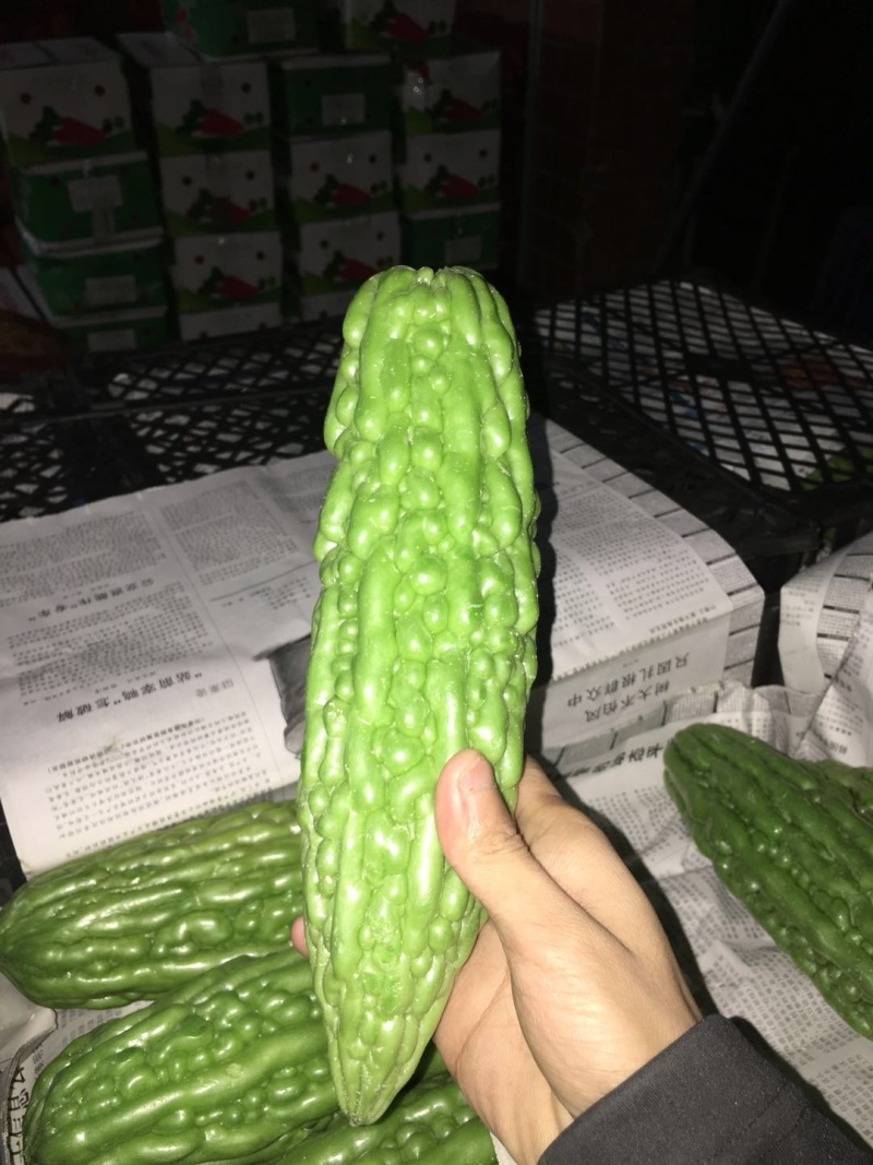 玉米