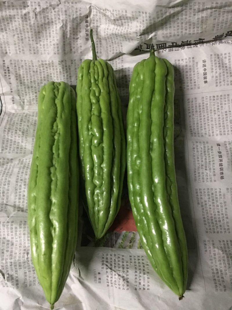 玉米