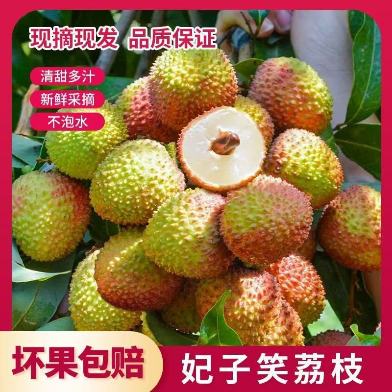 妃子笑各大电商**一件代发顺丰冷链售后无忧