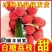 荔枝~妃子笑~桂花香一件代发对接各大平台对接各大顺丰冷链