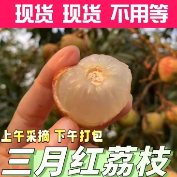 一件代发荔枝妃子笑桂各大电商平台供货顺丰冷链售后无忧