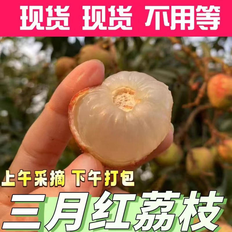 一件代发荔枝妃子笑桂各大电商平台供货顺丰冷链售后无忧