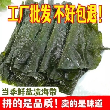 盐渍海带5斤一包真空包装