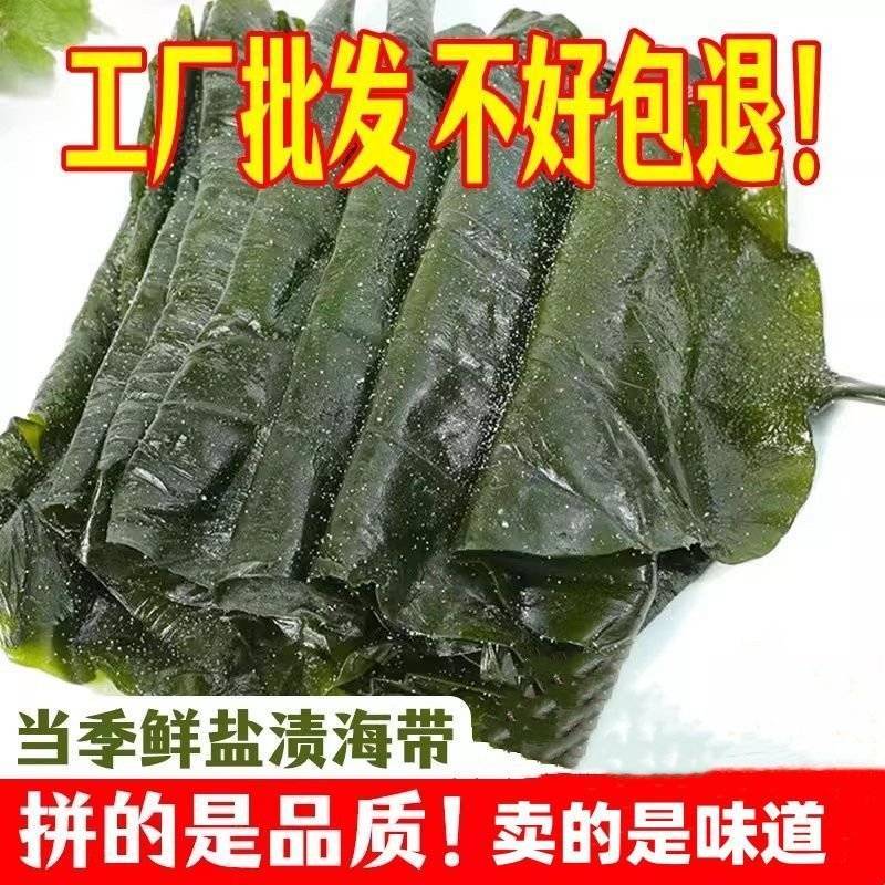 盐渍海带5斤一包真空包装