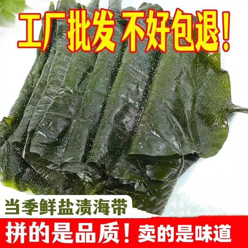 盐渍海带5斤一包真空包装