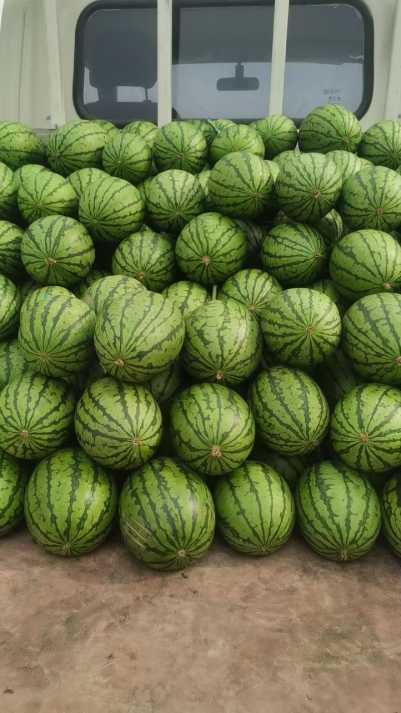 全美2k西瓜，大量上市，脆甜可口，保质保量，全国发货