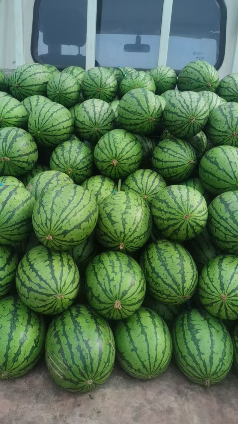 全美2k西瓜，大量上市，脆甜可口，保质保量，全国发货
