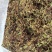 野生金银花天然晒干