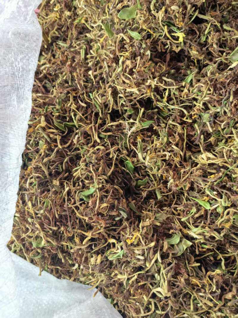 野生金银花天然晒干