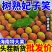 妃子笑各大电商**一件代发顺丰冷链售后无忧