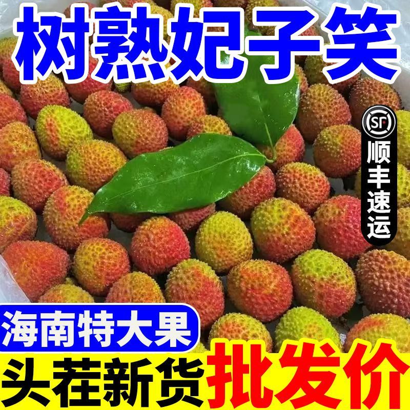 妃子笑各大电商**一件代发顺丰冷链售后无忧