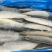 鲐鲅鱼片鲭鱼柳青占鱼对开，韩餐日料店烧烤店专用佳品！
