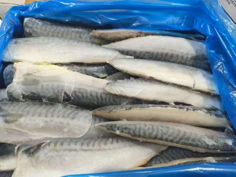 鲐鲅鱼片鲭鱼柳青占鱼对开，韩餐日料店烧烤店专用佳品！