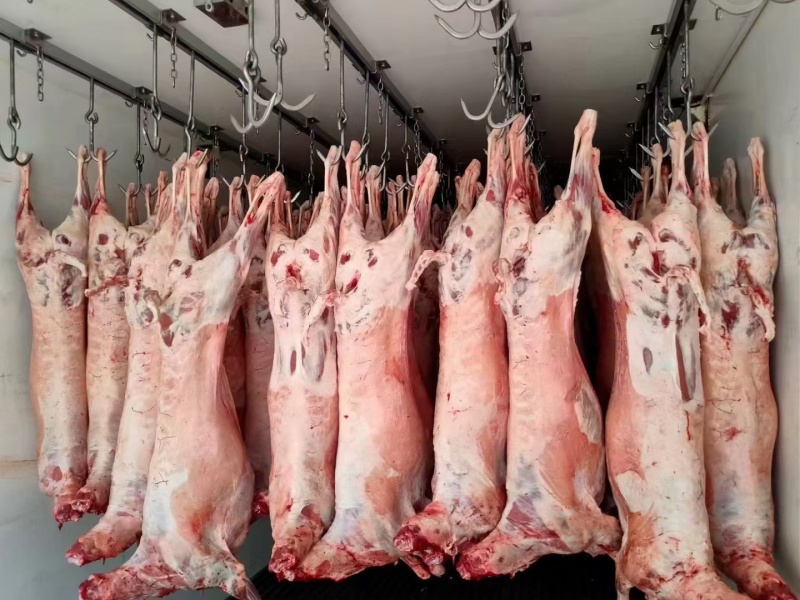 肋羊肉串，选自内蒙古草原羔羊，肉香无膻味，牧场直供