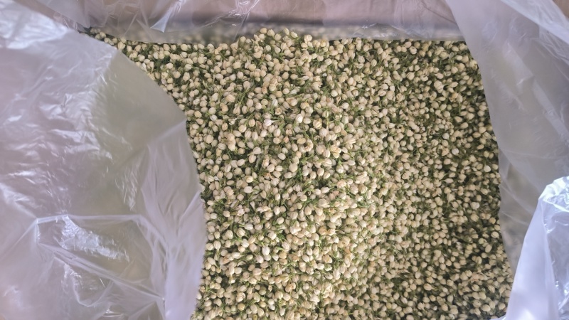 新货茉莉花茶茉莉花干花花苞批发浓郁爽口浓香型花草茶叶组合