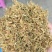 味道清香的金银花品质保证诚信经营价格实惠量大从优