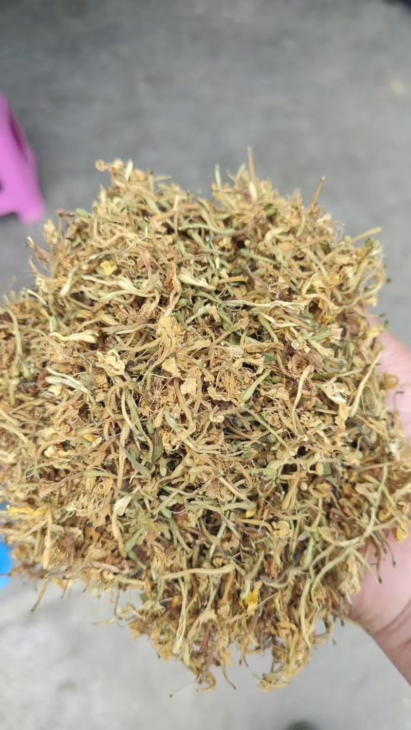 味道清香的金银花品质保证诚信经营价格实惠量大从优