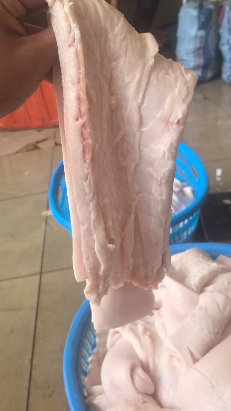【优质推荐】猪条油自产自销一手货源保质保量量大从优