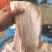 【优质推荐】猪条油自产自销一手货源保质保量量大从优