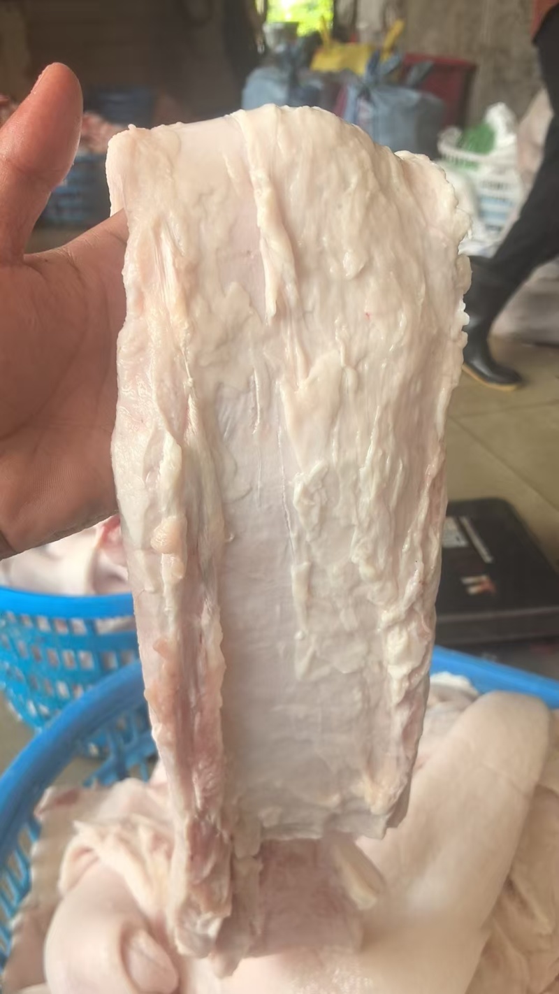 【优质推荐】猪条油自产自销一手货源保质保量量大从优