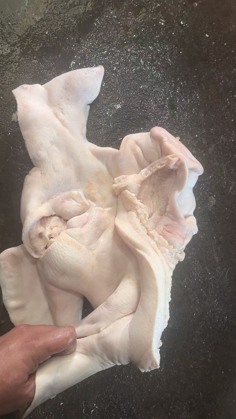 猪头皮质量保证自产自销，量大从优可视频看货欢迎咨询