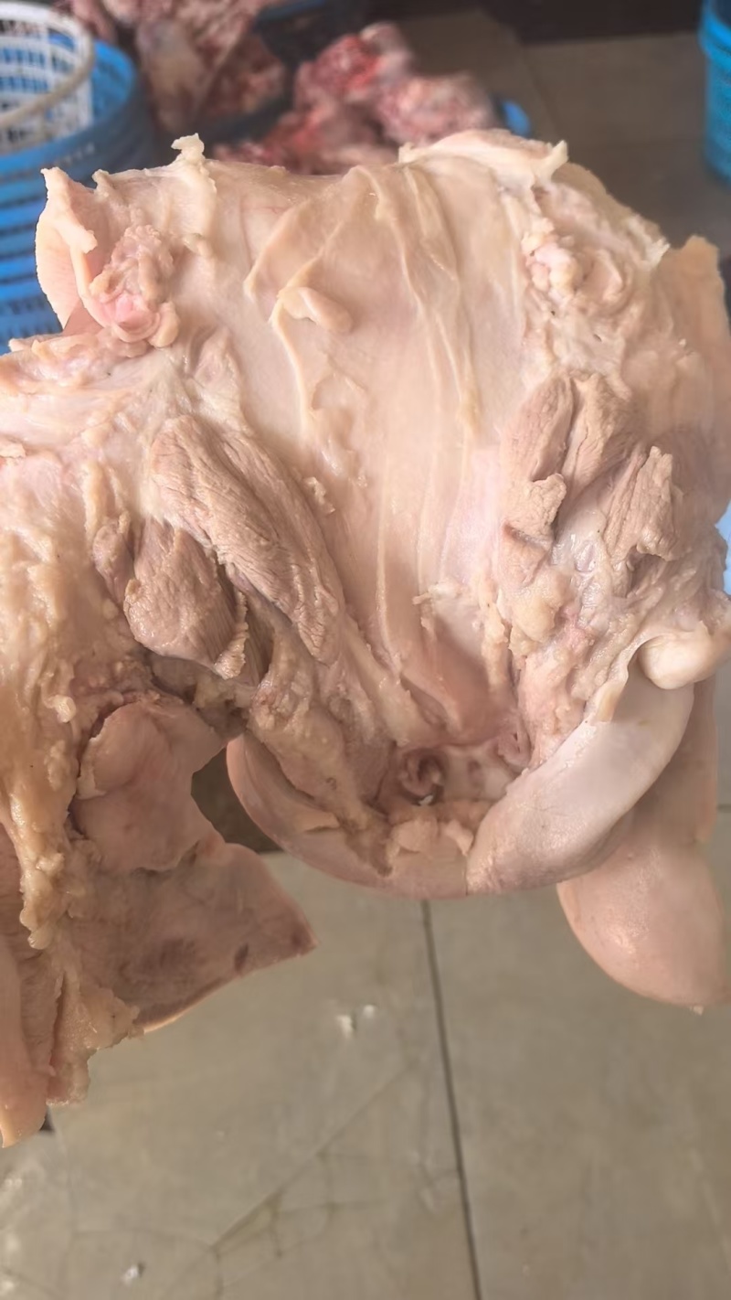 猪头皮质量保证自产自销，量大从优可视频看货欢迎咨询