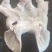 猪头皮质量保证自产自销，量大从优可视频看货欢迎咨询