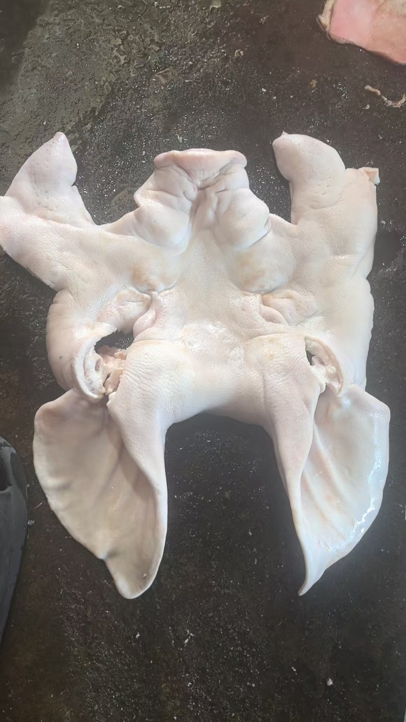 猪头皮质量保证自产自销，量大从优可视频看货欢迎咨询