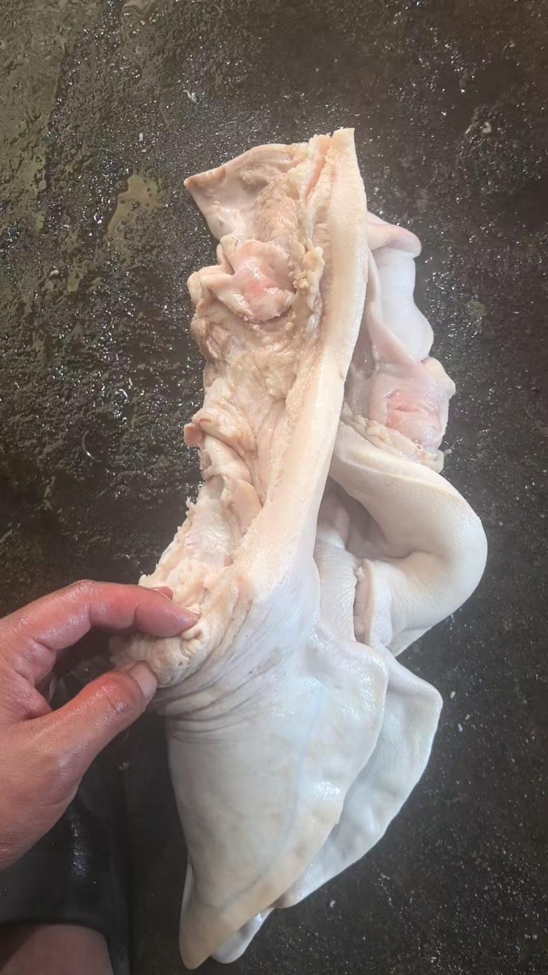 猪头皮质量保证自产自销，量大从优可视频看货欢迎咨询