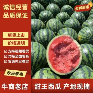 精品甜王西瓜，全国发货，品质保证，量大从优，可视频看货