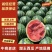 精品甜王西瓜，全国发货，品质保证，量大从优，可视频看货