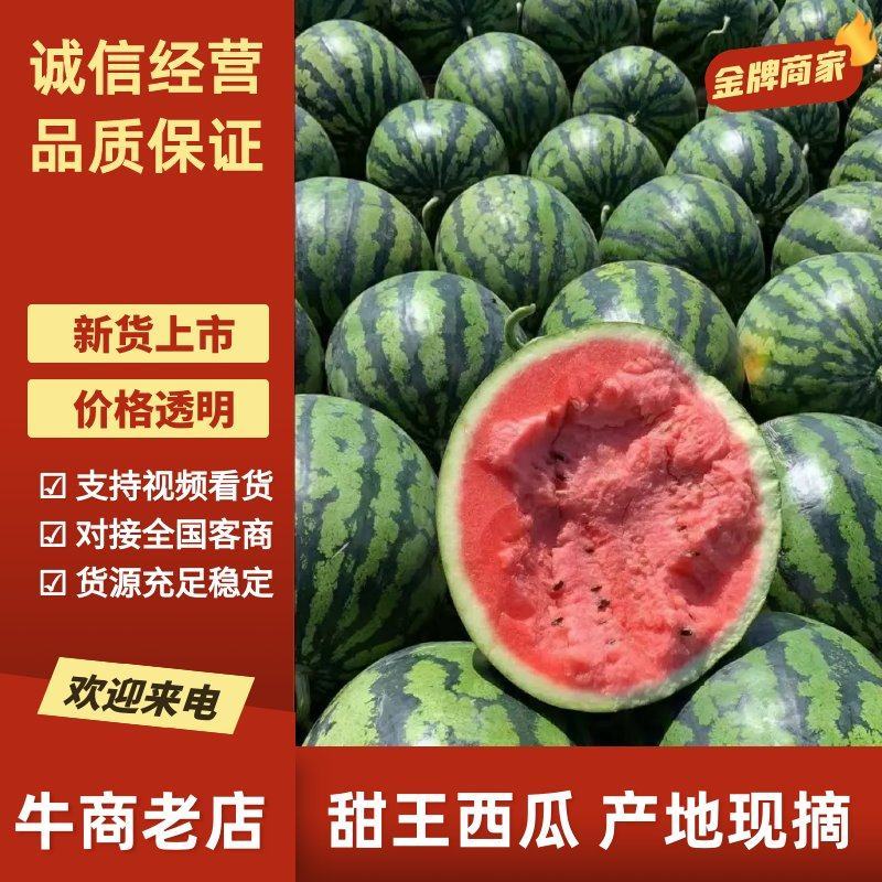 精品甜王西瓜，全国发货，品质保证，量大从优，可视频看货