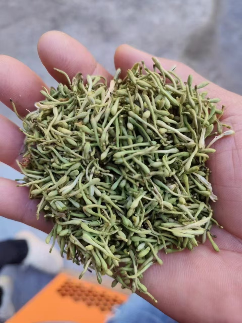 金银花品质好味道清香支持视频看货选货欢迎来电洽谈