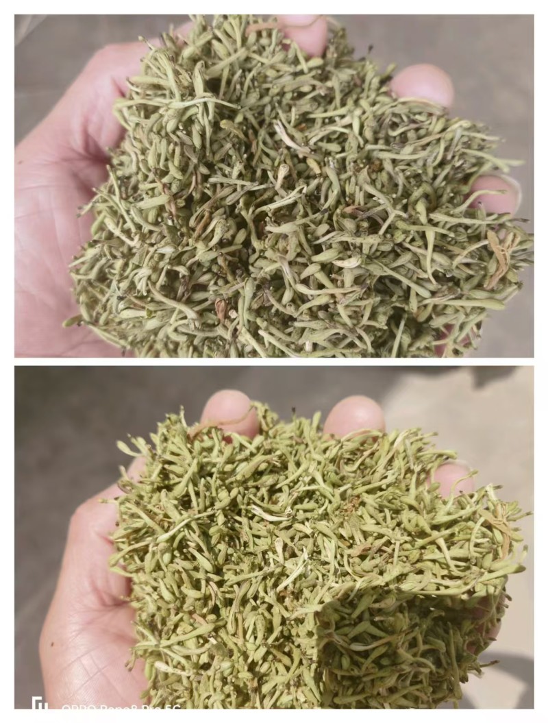 金银花品质好味道清香支持视频看货选货欢迎来电洽谈
